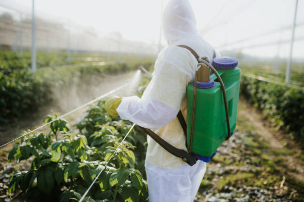 Best Pest Inspection Near Me  in The Pinery, CO